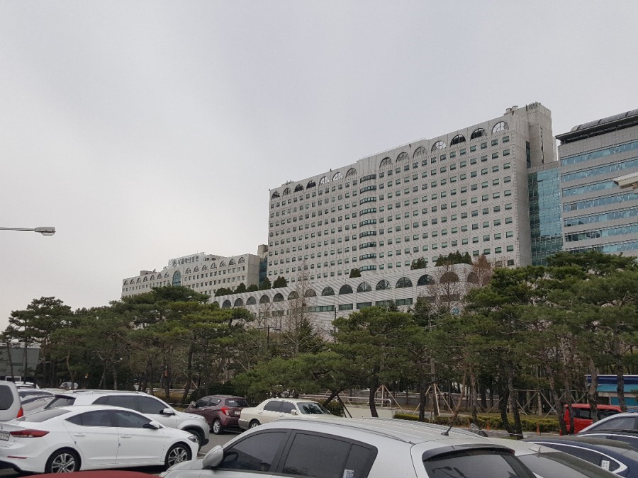 서울 아산병원 다녀 왔어요
