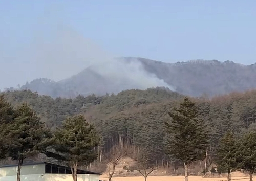 경기·부산·평창서 산불 잇따라…건조한 날씨 '불쏘시개'