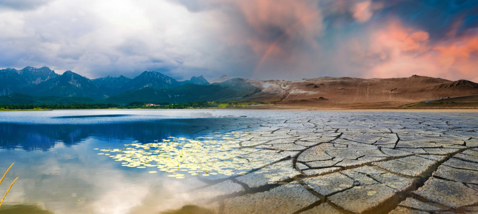 상승하는 해수 온도, 이것의 심각성과 파괴적인 결과!, 시보드 블로그